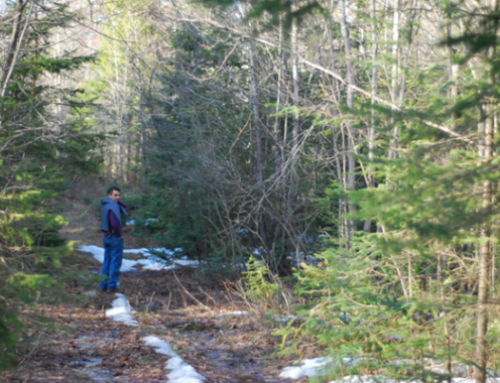 More to Life Than What the Eyes Can See – Christos’s Experience